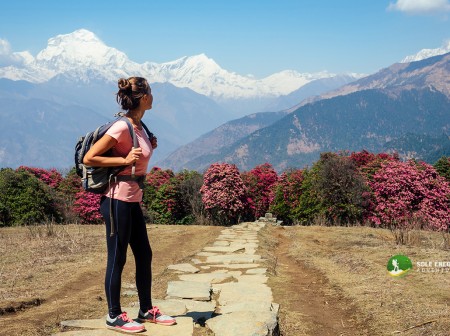 Ghorepani Poon Hill Trek